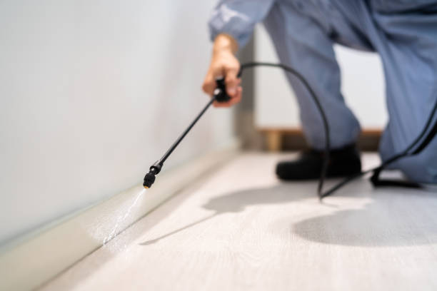 Licensed Fumigation Services service in Greentown, IN - Nex Pest Control